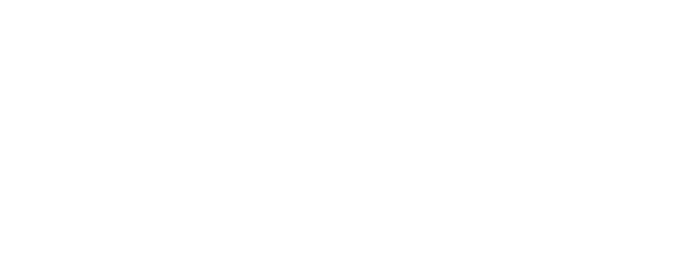 FETACHINI logo
